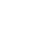 NOT YOUR ERNST