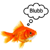 Goldfish with speech bubble