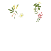 Abeille avec fleurs
