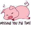 Miss you pig pig