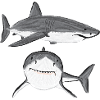 Great White Shark V design