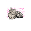 Mère du chat chat