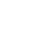 Boston terrier