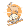 Keen on volleyball