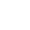 Icelandic horse
