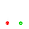 Islandpferd