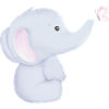 Little elephant cartoon