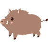wild boar