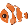 Clown fish
