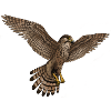 Flying Falcon