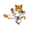 Grappige Karate Kung Fu Kat Kat Gift