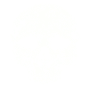 Crânes morts