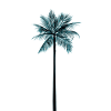 Blue palm tree