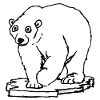 Polar Bear - Melting Habitat