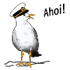 Seagull, ahoy, captain, sea