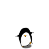 PINGUINE WERFEN