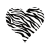 Zebra heart zebra heart
