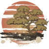 Asian Bonsai Sunset