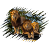 lions