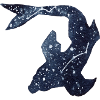 Galaxy Star Fish