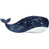 Galaxy Star Whale