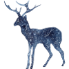 Galaxy Star Deer