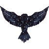 Galaxy Star Owl