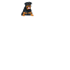 Rottweiler heartbeat