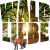 waldliebe mit fuchs