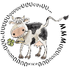 Cow with shamrock muuuuu