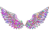 Ailes anges Colour