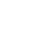 Islandpferd Take it Isi 2