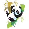 panda