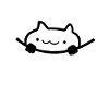 cute pocket cat