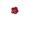 Aikido