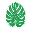 Leaf - natural (Green)