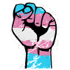 Trans Resist Fist