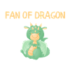 FAN OF DRAGON