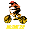 vélo bmx vtt