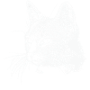 Cat head - White
