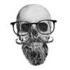 Bearded skull