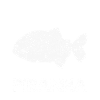 Piranha