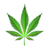 Cannabis leaf