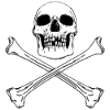PIRATE FLAG