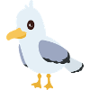 gull