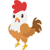 Rooster