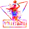 volleyball