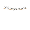 Lemur animal