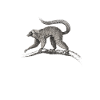 lemur