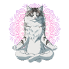 Norwegische Waldkatze Meditation